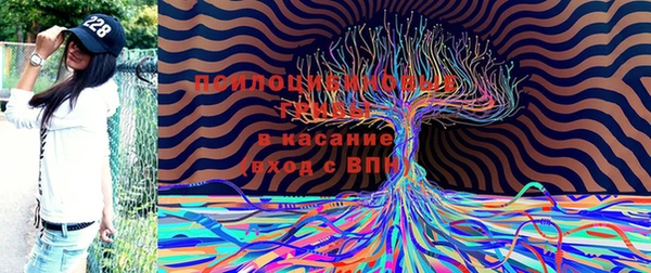 a pvp Алзамай